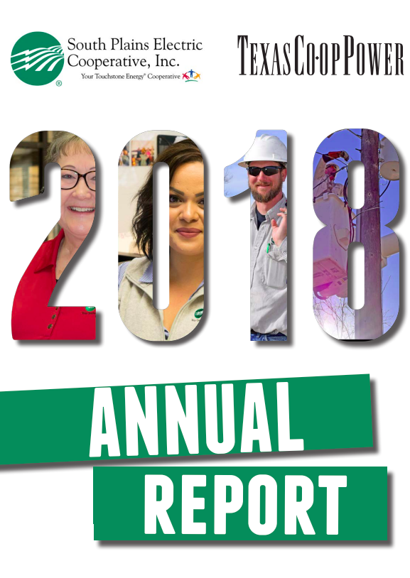 annual report 2018