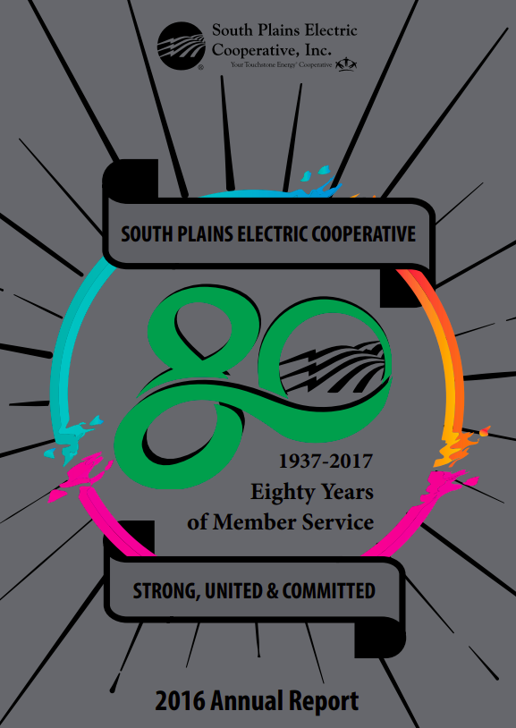 2016 annual report