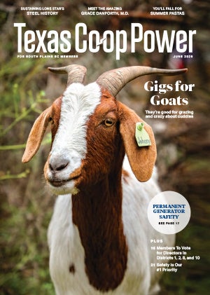 June cover